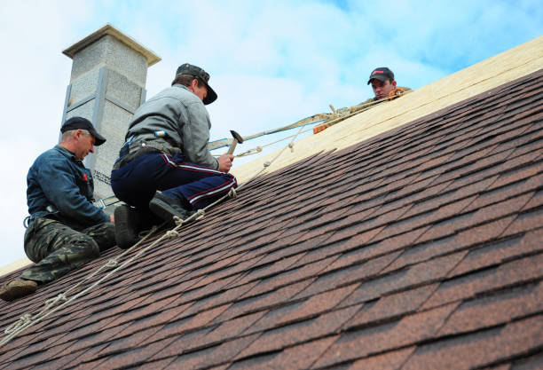 Best Roof Repair Services  in Warr Acres, OK